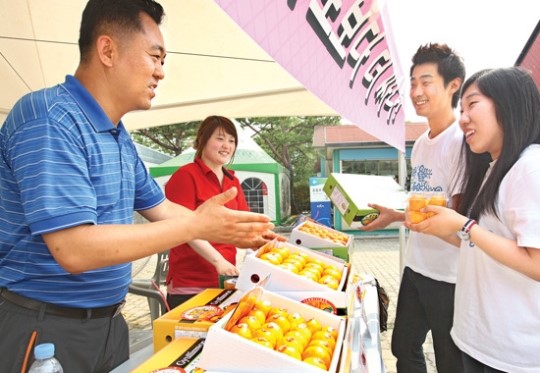 “제주감귤 맛보세요”