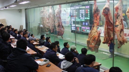 음성·부천축공, 소 출하예약 물량배정때