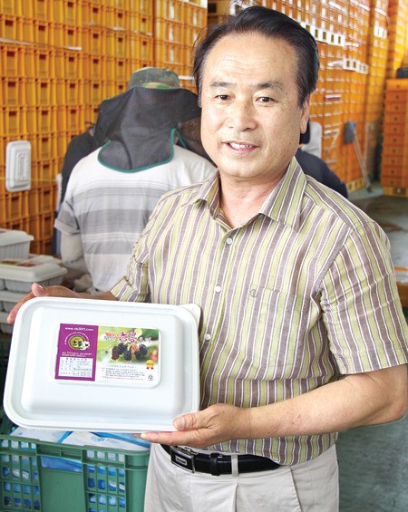 오디 판매사업 팔걷었다
