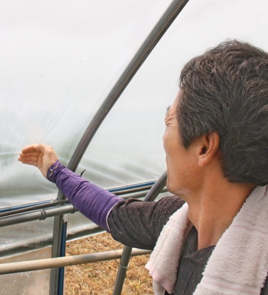 충남 논산 멜론농가 - 비닐업체 갈등 심화