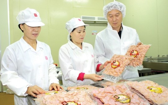 기획-농업, 상식의 틀을 깨다④충남 보령 ‘돼지카페 마블로즈’