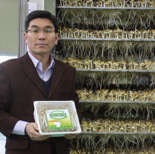 땅콩나물 산업화 나선 이제영 ㈜신아비앤에프 대표