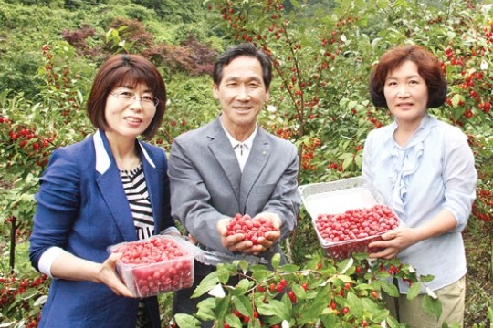 경남 새고성농협 ‘보리수’ 소득작목 육성