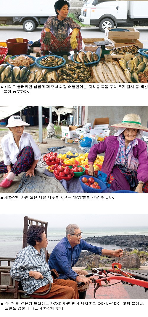 사진가 정영신의 장터순례(37)제주 세화장