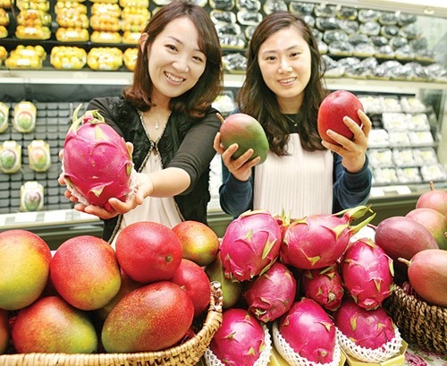 애플망고·왕망고·용과…“국산 이색과일 맛보세요”