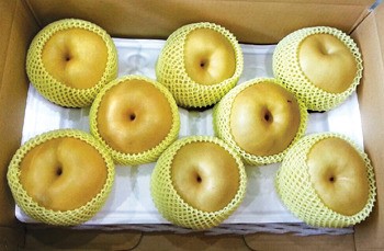 배 5㎏ 소포장품 시장서 ‘자리매김’ 속도
