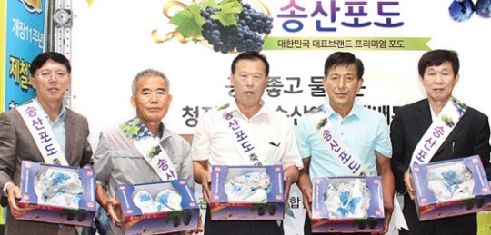 “달콤하고 향긋 ‘송산포도’ 좋아요”