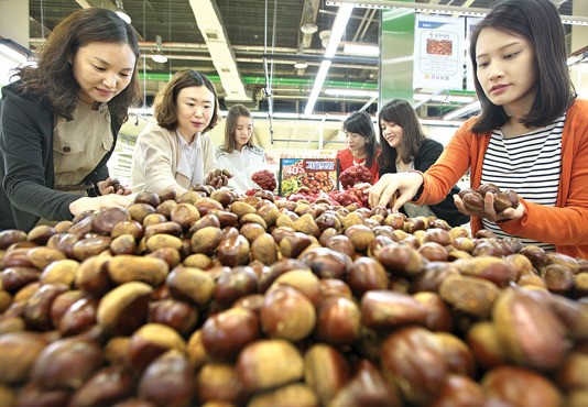 “맛좋은 ‘햇밤’ 저렴하게 즐기세요”