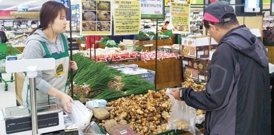 경북 안동농협·안동시연합사업단 ‘생강 연합판매사업’ 성과