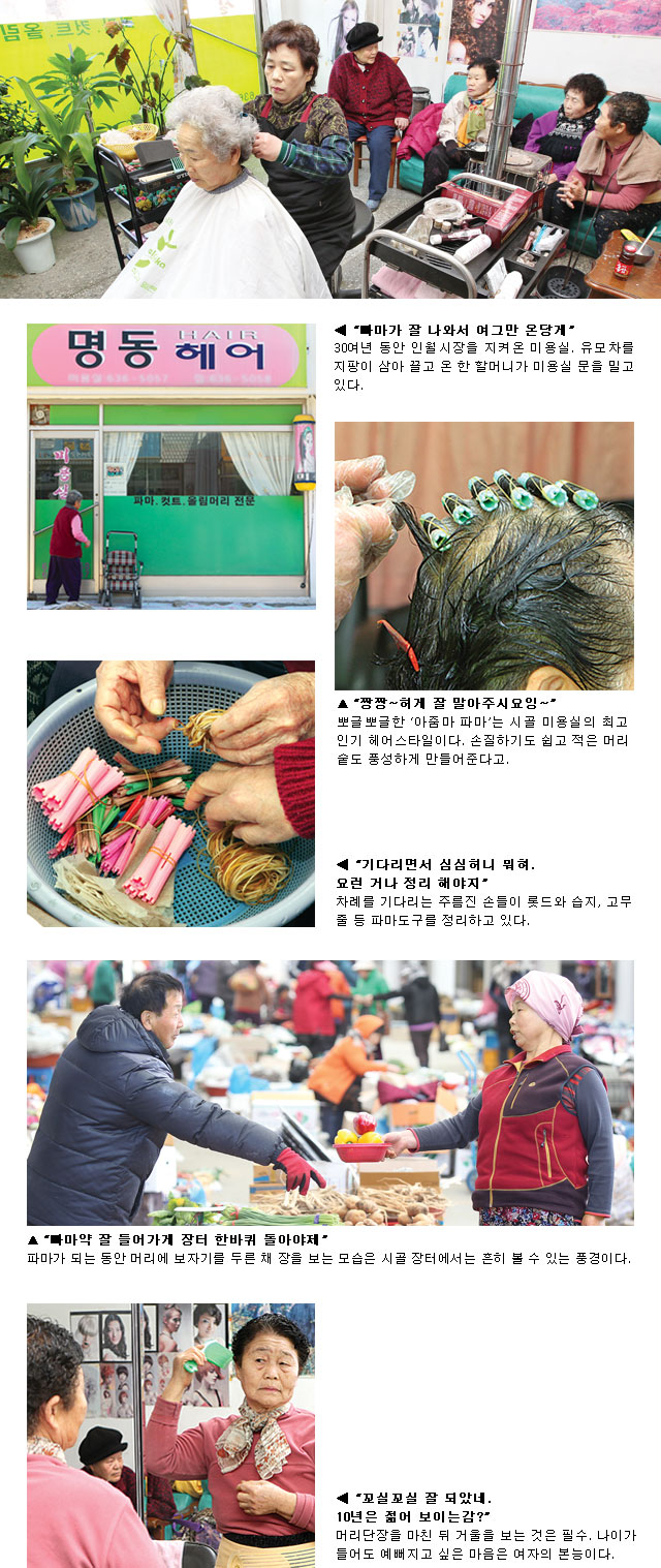 살랑살랑 봄바람 불것다…내 맴도 싱숭생숭 설레것다