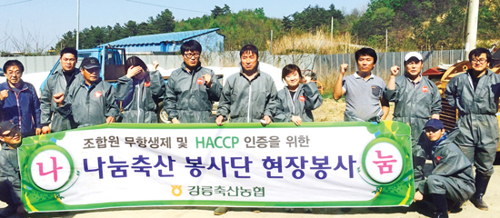 강릉축협 나눔축산봉사단…축산농가 일손돕기 ‘구슬땀’