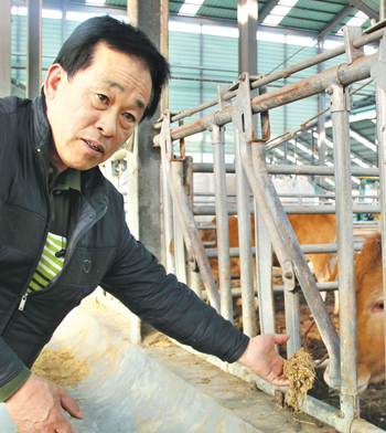 [이사람]화식(火食)한우로 마을 활성화 앞장서는 한우농가 김용철씨 <충북 제천>