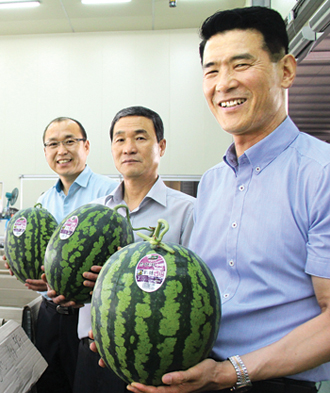 맹동농협 ‘맹동수박’ 명품화 혼신