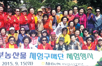 문경서 오미자 수확하고 구매