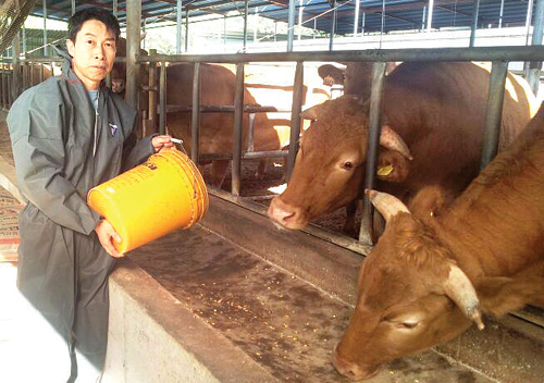 [기획]FTA 시대…축산 비결 대공개(22)한우 비육농가 황태락씨 <경북 영주 일월농장>
