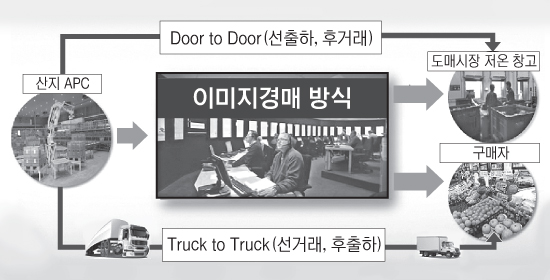 ‘동영상 보며 농산물 경매’ 시대 열린다