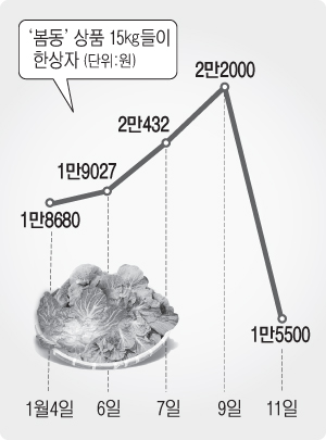 [한눈에 보는 시세]봄동