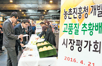 농진청 원예특작과학원·서울청과 협력