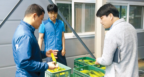 강원농협·서원유통탑마트, 농산물 판매 ‘순항’