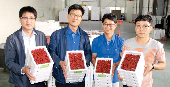 산딸기 수취값 향상 ‘동분서주’