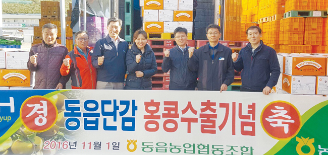 창원 ‘동읍단감’ 홍콩 첫 수출