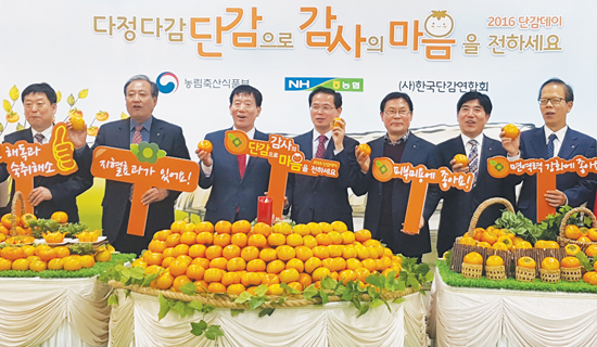 “단감으로 달달한 가을을”