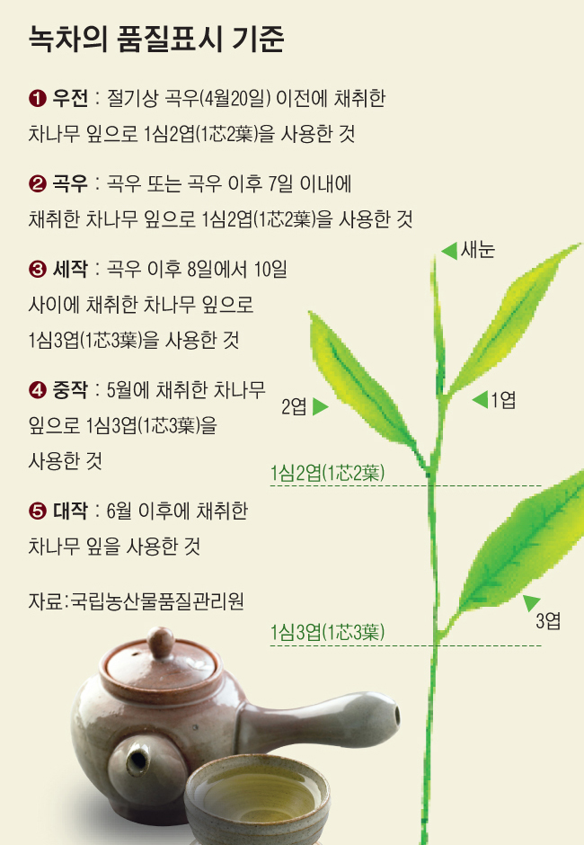 ‘녹차’ 우전·곡우·세작 등 품질표시