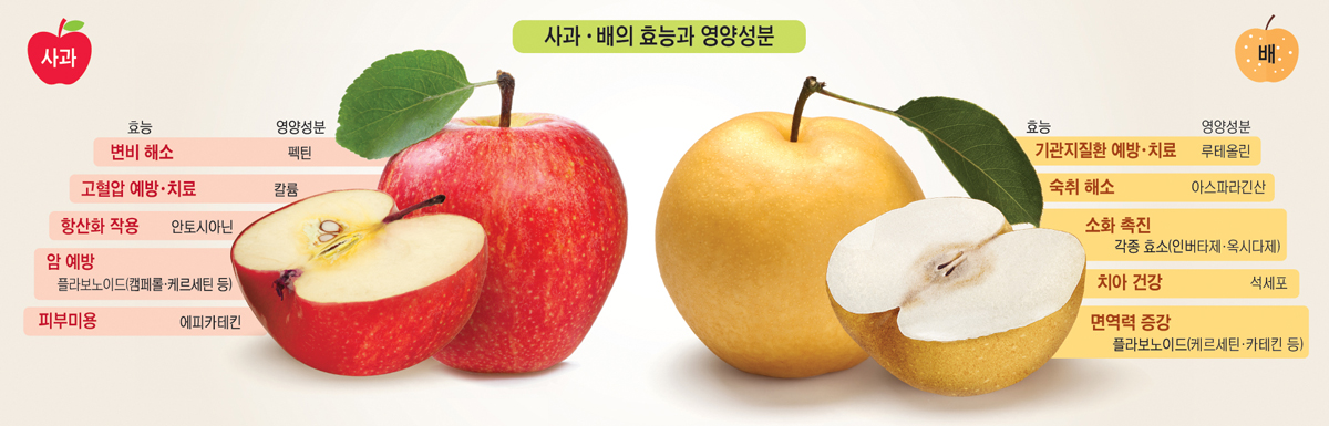 달콤·아삭한 ‘국가대표’ 과일…암 위험 낮추고 면역력 ‘쑥쑥’