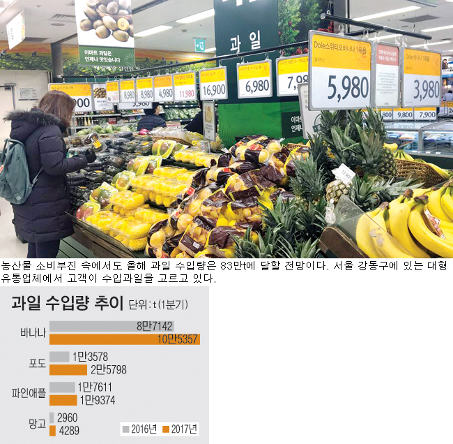 국산 농산물 안팔리는데…수입과일은 ‘불티’