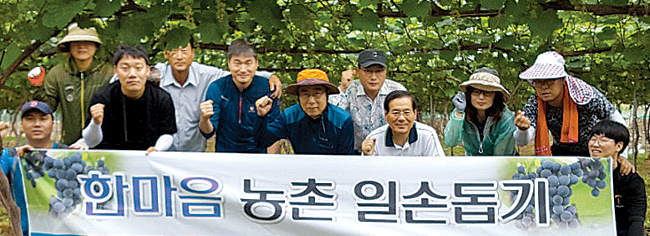 학산농협, 휴일 반납 포도농가서 일손돕기