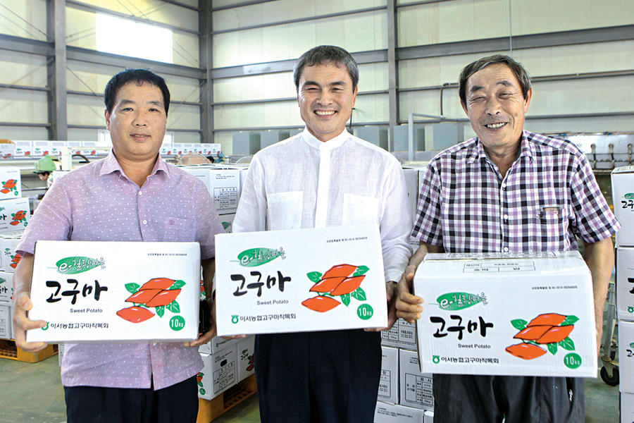 완주 이서농협 ‘e-힐링마을 고구마’ 인기