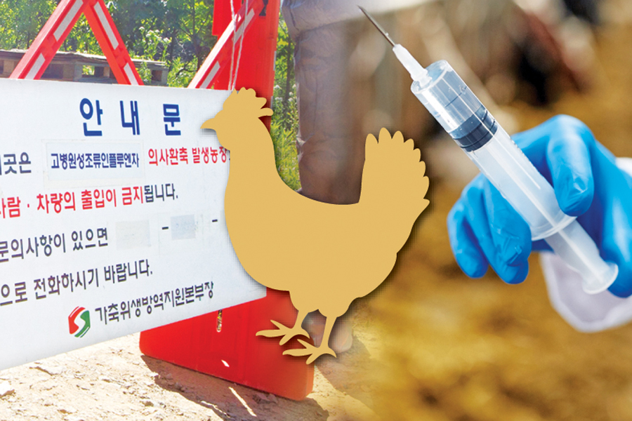 고병원성 AI 확산 대비 백신용 바이러스 ‘항원뱅크’ 만든다