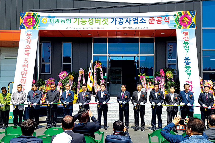‘고품질 버섯’ 가공활성화 박차…양양 서광농협 가공사업소 준공