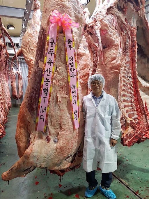 1200㎏ 넘는 ‘슈퍼 한우’ 탄생…1600만원 호가