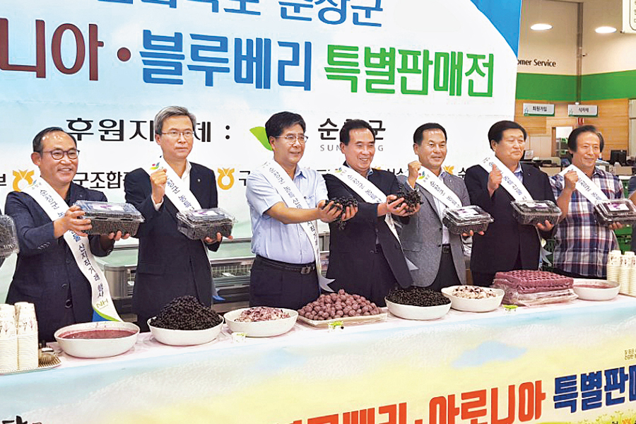 순창 특산품 아로니아 판촉행사 열어