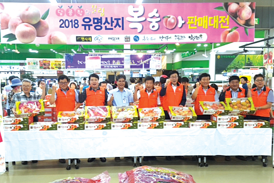 ‘싱싱세종 복숭아’ 하나로마트 서울 양재점서 판촉행사