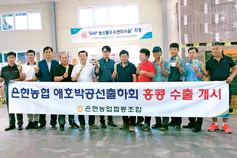 은현농협 애호박 800㎏ 홍콩 첫 수출