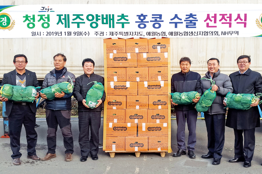 제주산 양배추 18t, 첫 홍콩 수출길 올라