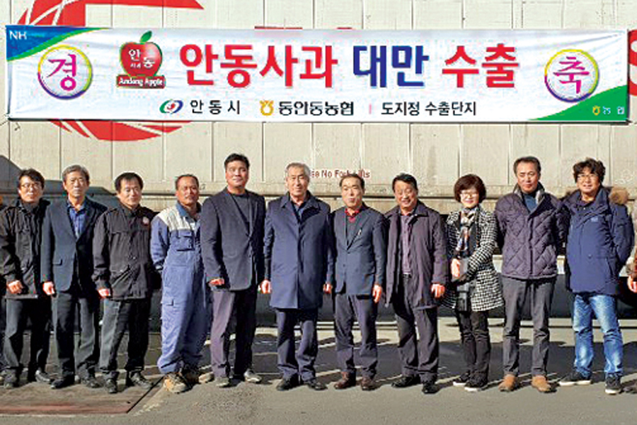 안동사과, 대만서 맛·품질 인정받아 수출 ‘활기’