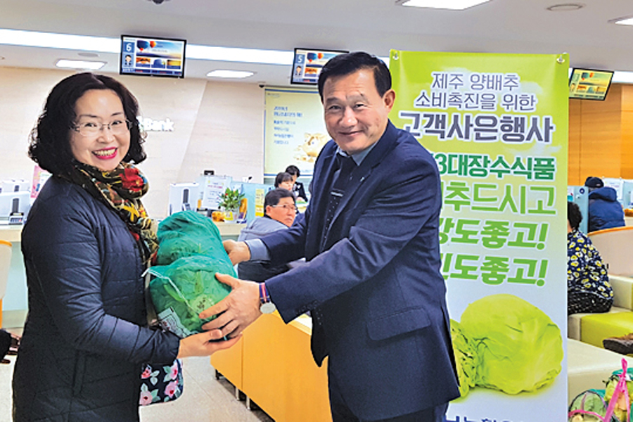 제주영업본부 모든 지점 고객에 양배추 무료 나눔