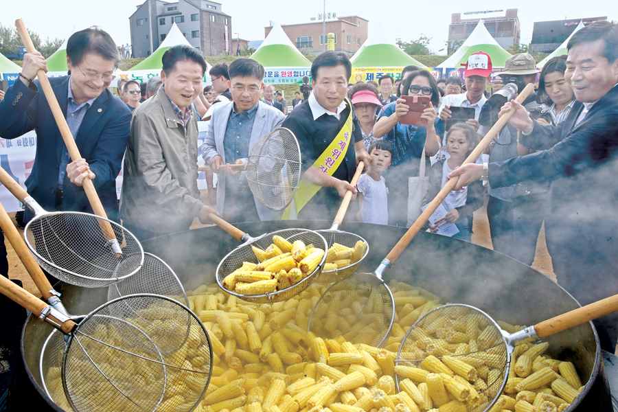 문막농협 ‘옥수수’ 맛보세요~