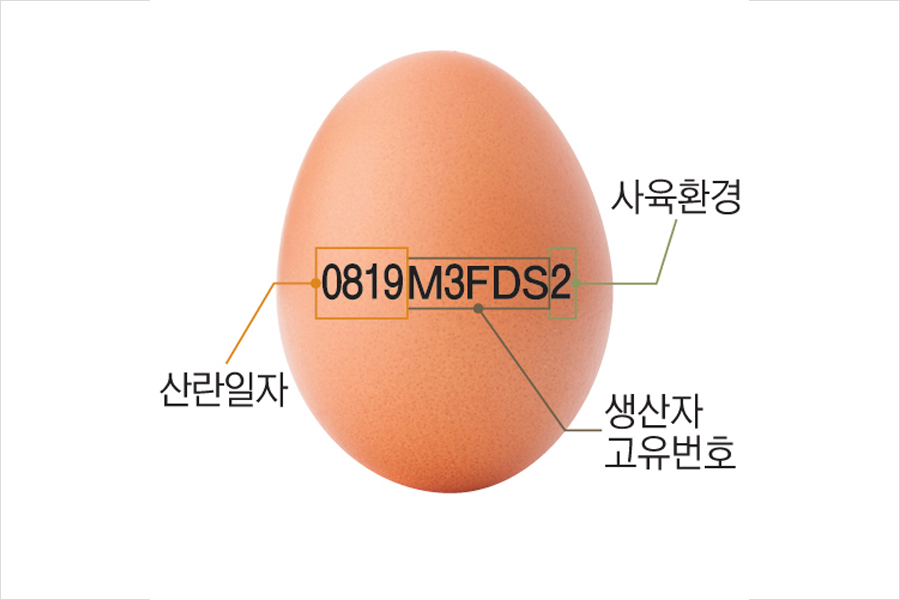 신선도, 산란일자만 보면 안다? 보관온도가 더 중요해요
