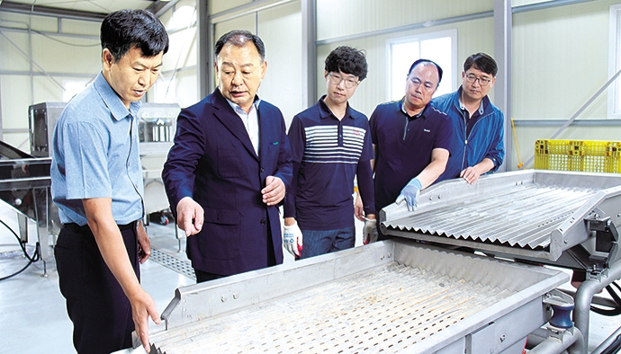 대호지농협, 씀바귀 유통 활성화 온힘