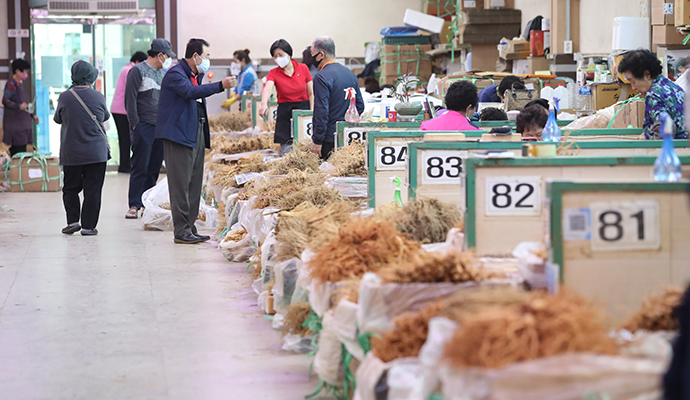 수삼 작황·소비 부진 이중고…홍삼 인기와 ‘딴판’