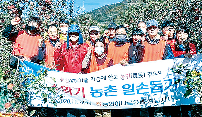 농협하나로유통 경남지사·농협영남농산물물류센터·㈜유승, 농촌 일손돕기 팔 걷어