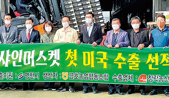 금호농협, 포도 수출 전문 농협 ‘우뚝’