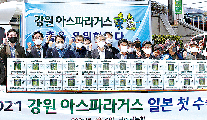 ‘강원산 아스파라거스’ 일본 수출
