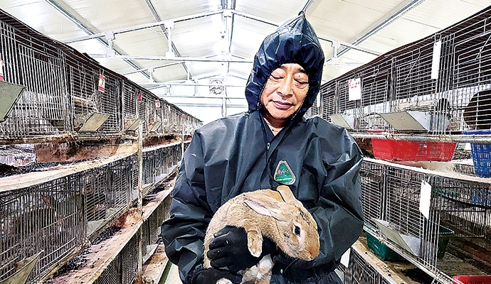 [축산달인을 만나다] 토끼곰탕·진액 상품화…지육 판매 때보다 소득 2~3배 높아