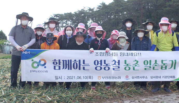 전북 부안중앙농협·부안군 상서면, 양파농가 수확작업 도와