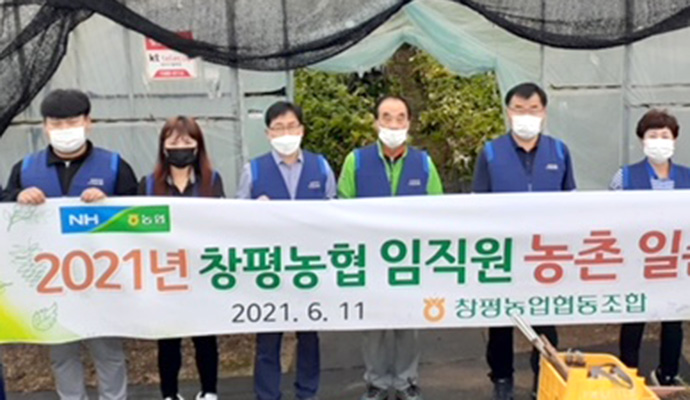 전남 담양 창평농협, 딸기농가 찾아 일손 도와
